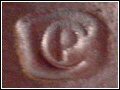 Crown Pottery Mark
